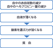 図：貧血のメカニズム