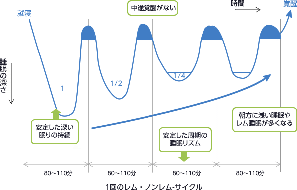 二 時間 おき に 目 が 覚める 病気