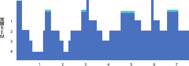 図：一晩の睡眠経過（成人）